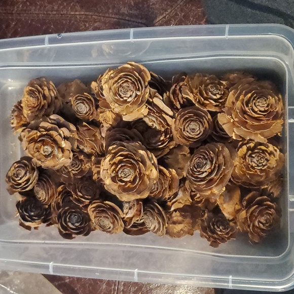 Pinecone Roses - Picture 2 of 2